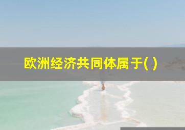 欧洲经济共同体属于( )